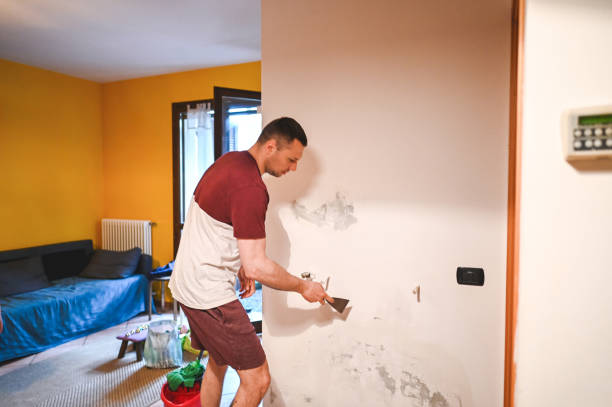 Best Black Mold Remediation in Mcdonald, OH